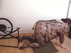 뚱 보 섹스 자전거